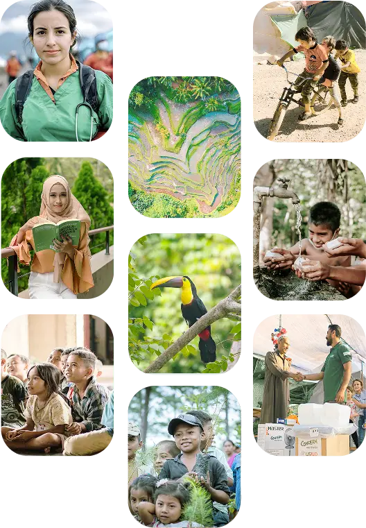 ImpactScope collage of impact areas